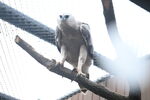 DSC_9217.JPG